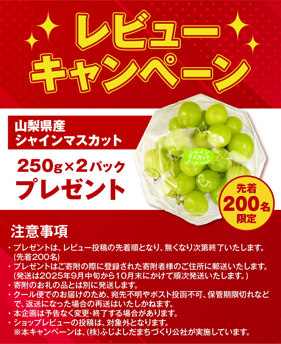 【ふるさと納税】レビューキャンペーン! ガイアの夜明けで紹介 羽毛布団 掛け布団 シングル セミダブル ダブル クイーン 配送月 日本製 肌掛け 洗える 軽い 軽量 ホテル ベッド 洗濯可 国産 寝具 布団 富士吉田市 訳あり ふるさと納税 ランキング 【甲州羽毛ふとん】 サムネイル2