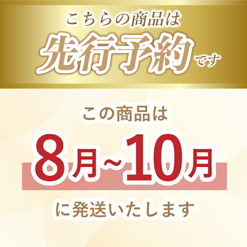 【ふるさと納税】【2026年！ 今シーズン発送】山梨県産　種なしピオーネ2～3房(約1.0Kg） | 8月中旬以降お届け 送料無料 山梨 やまなし ブドウ 葡萄 ピオーネ 新鮮　甘い　美味しい　ジューシー　朝採れ　ぶどう　たねない　種無し　黒ぶどう　【冷蔵】黒ぶどう サムネイル2