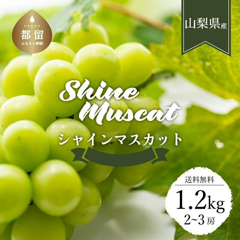 【2026年発送！先行予約】【山梨県都留市ふるさと納税】クール便配送　山梨県産　シャインマスカット　約1.2kg　(2〜3房)