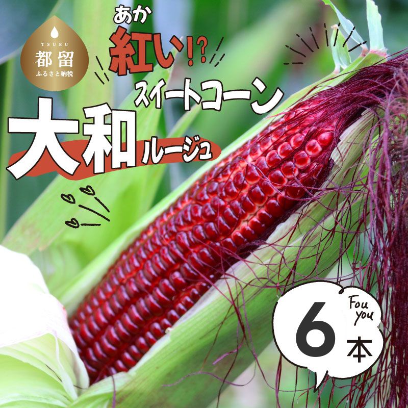 【2026年先行予約】山梨県都留市産 紅い スイートコーン 大和ルージュ｜希少な赤いとうもろこし 甘い スイートコーン トウモロコシ 産地直送 送料無料【浅田農園】 とうもろこし