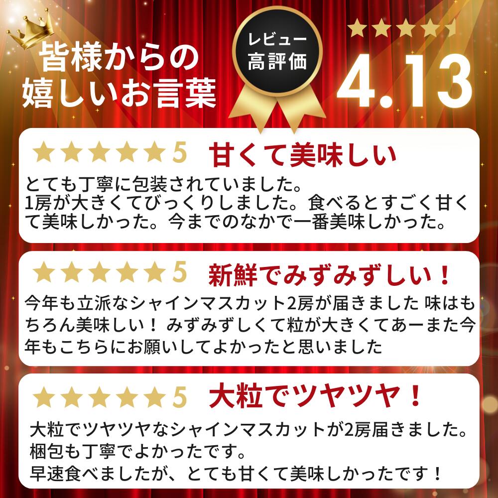 【ふるさと納税】【2026年先行予約！】山梨県産　シャインマスカット 選べる500g以上 ～3.0kg ||【厳選】 送料無料 山梨 ぶどう シャイン やまなし 新鮮 農家直送 都留市 種なしブドウ マスカット 【冷蔵】 サムネイル3