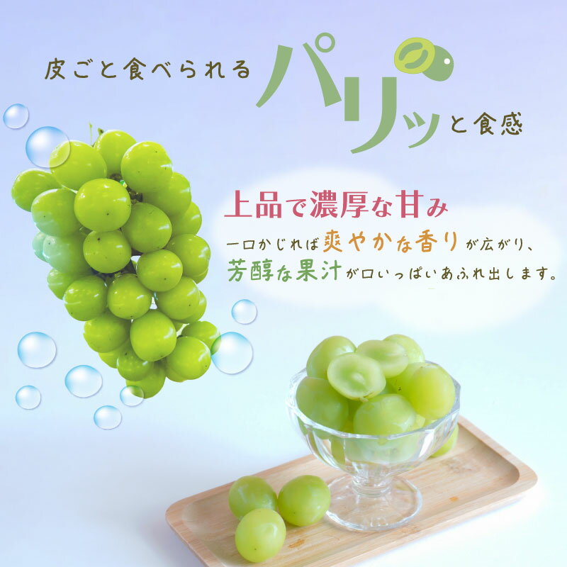 【ふるさと納税】【2026年先行予約】山梨県産 シャインマスカット｜1房（約500g）・1房（約700g）・2房（約1kg）・3〜4房（約2kg）から選べる 高糖度 大粒 種なし 甘い フルーツ 果物 葡萄 産地直送 送料無料 サムネイル2