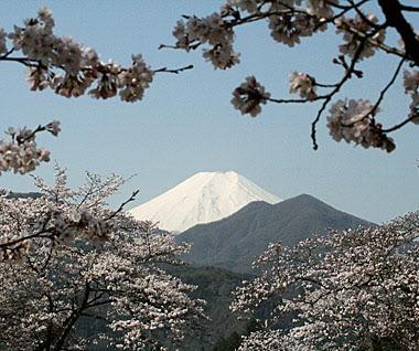 【ふるさと納税】山梨県都留市の対象施設で使える楽天トラベルクーポン 寄付額50000円 都留市 宿泊 クーポン サムネイル3