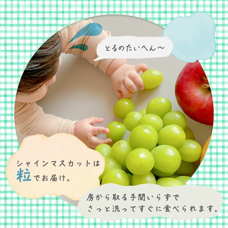 【ふるさと納税】【2026年先行予約】シャインマスカット1.3kg　（粒）シャインマスカット ぶどう 山梨県 くだもの フルーツ 大人気 送料無料 粒のまま サムネイル3