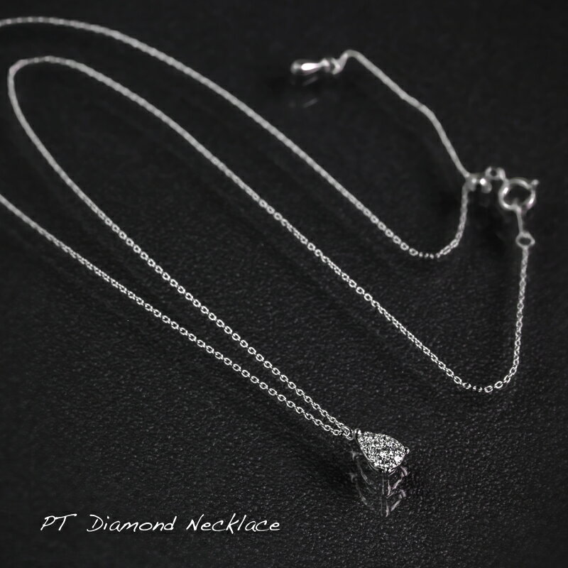 【ふるさと納税】 ダイヤモンドネックレス　0.16ct（PR_MN-072）【リズプラス】｜ ダイヤ ダイヤモンド プラチナ ネックレス ペンダント ジュエリー アクセサリー ギフト プレゼント 鑑別書付 保証書付 サムネイル3