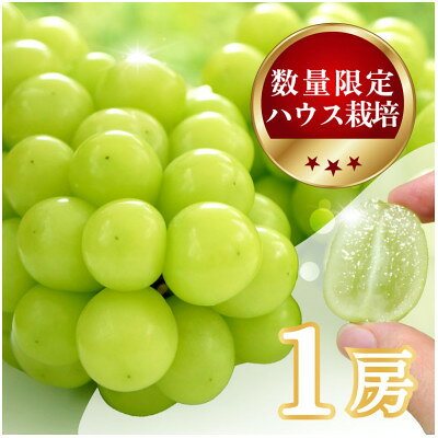 シャインマスカット　(1房/2房)【配送不可地域：離島・沖縄県】【G1041840】
