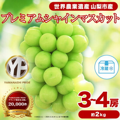 2026年度先行予約 フルーツ王国山梨産 厳選 シャインマスカット 3～4房 (約2kg)_ ふるさと納税 ふるさと マスカット ぶどう ブドウ 葡萄 フルーツ 果物 くだもの 人気 美味しい 山梨県 山梨市 山梨 送料無料【配送不可地域：離島】【1108670】