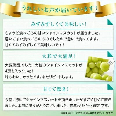 【ふるさと納税】約1.5kg/2kg (2～3房/3～4房) 銀河農園まきおかの特選シャインマスカット (種なし)_ ふるさと納税 ふるさと マスカット ぶどう ブドウ 葡萄 フルーツ 果物 くだもの 送料無料【配送不可地域：離島】【G1111663】 サムネイル2