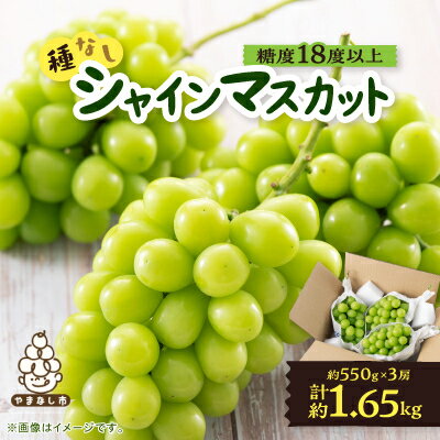 【2026年先行予約】山梨市産「シャインマスカット(種なし)」 約1.65kg (約550g×3房)【配送不可地域：離島・沖縄県】【1117302】