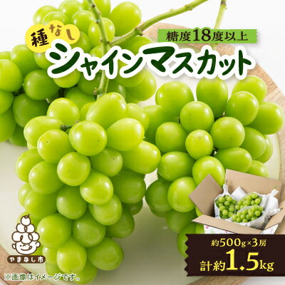 【2026年先行予約】山梨市産「シャインマスカット(種なし)」 約1.5kg (約500g×3房)【配送不可地域：離島・沖縄県】【1117303】