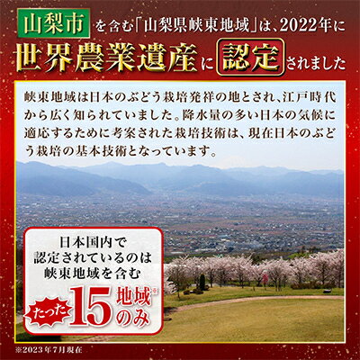 【ふるさと納税】【2026年先行予約】完熟 シャインマスカット 2房 (1kg以上) 世界農業遺産認定地特産_ ふるさと納税 ふるさと マスカット ぶどう ブドウ 葡萄 フルーツ 果物 くだもの 人気 美味しい 山梨県 山梨市 山梨 【配送不可地域：離島】【1117448】 サムネイル3