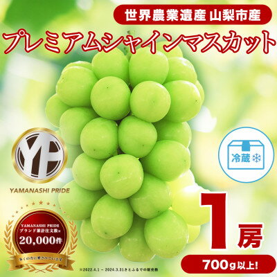 2026年度先行予約 フルーツ王国山梨産厳選 大房シャインマスカット 1房 (約700～800g)【配送不可地域：離島】【1134568】