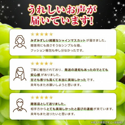 【ふるさと納税】2026年度先行予約 フルーツ王国山梨産厳選 大房シャインマスカット 1房 (約700～800g)【配送不可地域：離島】【1134568】 サムネイル3