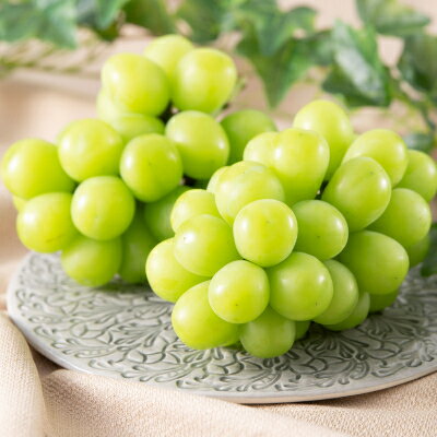 【ふるさと納税】【2026年先行予約】農家直送シャインマスカットパック入1.6kg以上(1房400g×4)【配送不可地域：離島】【1142817】 サムネイル2