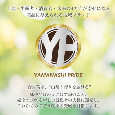 【ふるさと納税】2026年度先行予約 約2kg 完熟 桃 とろける甘み YAMANASHI PRIDE (5～8玉)_桃 山梨 もも モモ フルーツ 果物 くだもの ふるさと 産地直送 山梨県 山梨市 人気 美味しい 【配送不可地域：離島・北海道・沖縄県・中国・四国・九州】【1222000】 サムネイル2