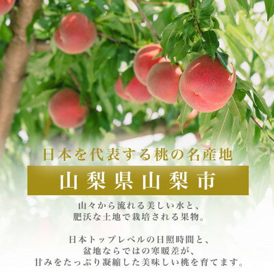 【ふるさと納税】2026年度先行予約 約2kg 完熟 桃 とろける甘み YAMANASHI PRIDE (5～8玉)_桃 山梨 もも モモ フルーツ 果物 くだもの ふるさと 産地直送 山梨県 山梨市 人気 美味しい 【配送不可地域：離島・北海道・沖縄県・中国・四国・九州】【1222000】 サムネイル3