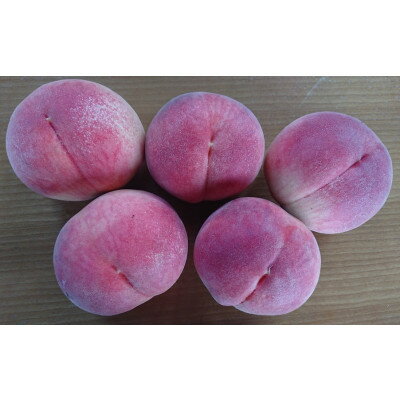 【ふるさと納税】2026年発送【旬の桃8～10玉 約3kg】坂の上の桃 硬くて甘い!食べ応え抜群!山梨県山梨市産【配送不可地域：離島】【1264619】 サムネイル3