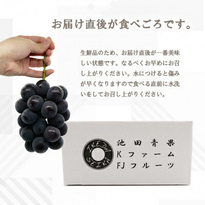 【ふるさと納税】【2026年先行予約】厳選　池田青果の巨峰　2房 　1キロ　ふるさと納税【配送不可地域：離島・沖縄県】【1280519】 サムネイル3
