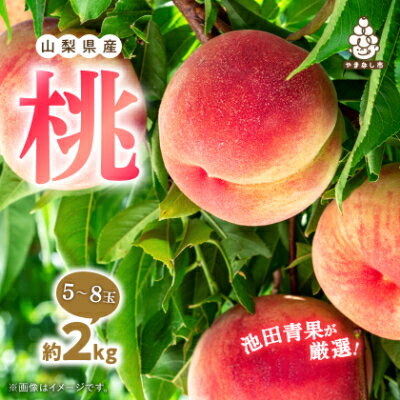 山梨市産　桃　約2kg (5玉~8玉)/約3kg (8玉～12玉)_ 桃 もも 果物 フルーツ くだもの 山梨 人気 おすすめ 送料無料 贈答 ギフト 甘い 冷蔵 【配送不可地域：離島・沖縄県】【G1280520】