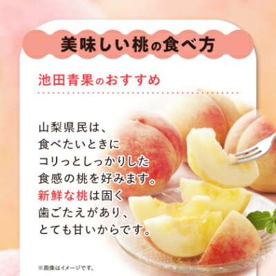 【ふるさと納税】山梨市産　桃　約2kg (5玉~8玉)/約3kg (8玉～12玉)_ 桃 もも 果物 フルーツ くだもの 山梨 人気 おすすめ 送料無料 贈答 ギフト 甘い 冷蔵 【配送不可地域：離島・沖縄県】【G1280520】 サムネイル3