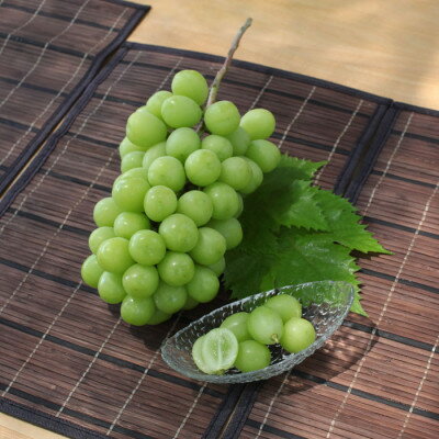 2026年先行予約 厳選! 山梨県山梨市産 シャインマスカット 約700g以上_ シャインマスカット 葡萄 ぶどう ブドウ 果物 フルーツ ふるーつ くだもの 青果 産直 山梨 国産 甘い 贈答 ギフト 名産地 冷蔵 【配送不可地域：離島】【1283964】