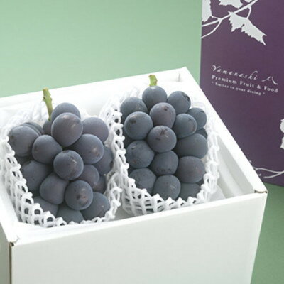 【ふるさと納税】【2026年発送分先行予約】藤稔 ふじみのり (種なし) 2房 約1kg 話題の大粒ぶどう_ブドウ 葡萄 ピオーネ フルーツ 果物 くだもの ふるさと 人気 山梨 山梨県 山梨市 送料無料【配送不可地域：離島・沖縄県】【1289158】 - 画像2