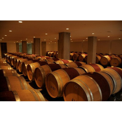 【ふるさと納税】ワイン 鴨居寺シラー ( 赤ワイン ) 750ml 1本〈 シャトー・メルシャン 勝沼ワイナリー 〉_ ふるさと納税 ふるさと ワイン お酒 酒 ギフト プレゼント 贈り物 山梨県 山梨市 人気 送料無料【配送不可地域：離島】【1298625】 サムネイル2