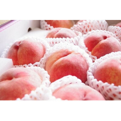 【ふるさと納税】【2026年先行予約】厳選!山梨市産 桃 約1.5kg(4～7玉)【配送不可地域：離島】【1305782】 サムネイル2