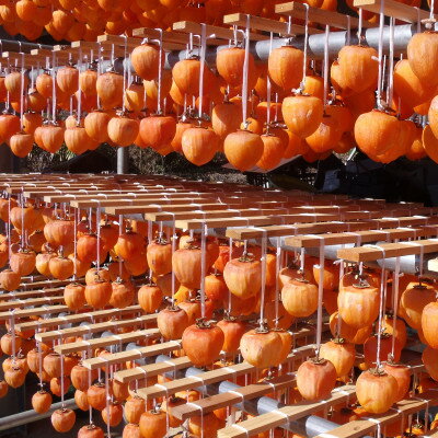 甲州名産「枯露柿」L～LLサイズ16個入り～20個入り　1.2kg以上【1361416】