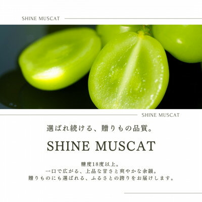 【ふるさと納税】【2026年発送 先行予約】フルーツ王国山梨県産シャインマスカット 3房～4房 2.2kg以上【配送不可地域：離島】【1362278】 サムネイル2