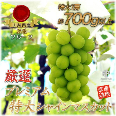 【2026年発送】厳選!プレミアムシャインマスカット1房　(700g以上サイズ)【配送不可地域：離島】【1395550】