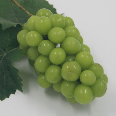 【ふるさと納税】【2026年発送】厳選!プレミアムシャインマスカット1房　(700g以上サイズ)【配送不可地域：離島】【1395550】 サムネイル2