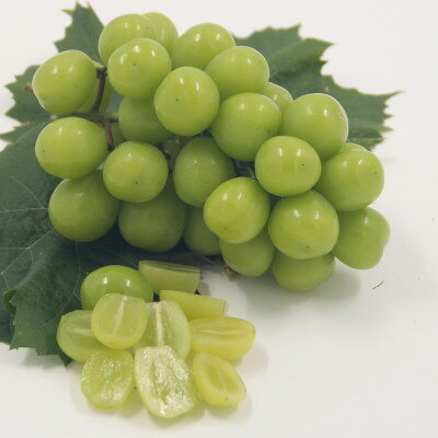 【ふるさと納税】【2026年発送】厳選!プレミアムシャインマスカット1房　(700g以上サイズ)【配送不可地域：離島】【1395550】 サムネイル3