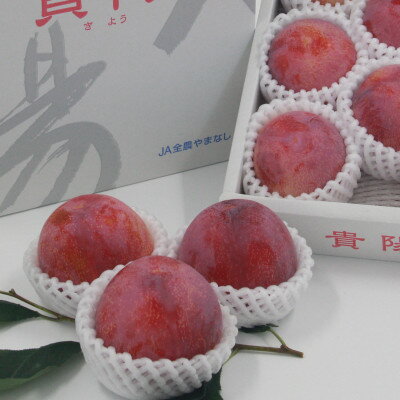 【ふるさと納税】【2026年先行予約】すもも『中玉貴陽』約1.5kg(7～10玉)【配送不可地域：離島】【1395560】 サムネイル2