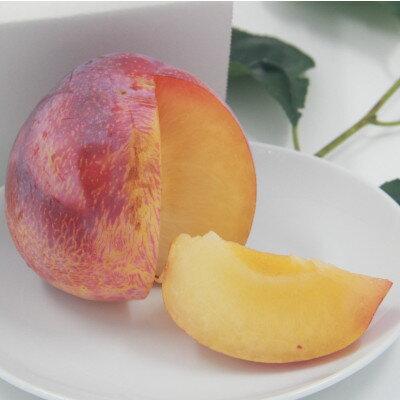 【ふるさと納税】【2026年先行予約】すもも『中玉貴陽』約1.5kg(7～10玉)【配送不可地域：離島】【1395560】 サムネイル3