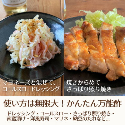 【ふるさと納税】【簡単・時短おうちごはん応援!】ピクルスワインビネガー3本セット〈自社醸造ワインビネガー使用〉【1409032】 サムネイル3