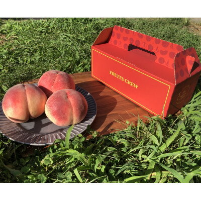 ゴールデンTV出演で話題沸騰通なファンが好む本場山梨『硬甘桃』7月中旬より発送【配送不可地域：離島・北海道・沖縄県・中国・四国・九州】【1410776】