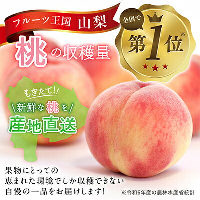 【ふるさと納税】【2026年先行予約】訳あり!桃 3kg前後_桃 山梨 もも 訳あり モモ フルーツ 果物 くだもの 山梨県 山梨市 山梨 ふるさと 人気 送料無料【配送不可地域：離島・沖縄県】【1419386】 サムネイル3
