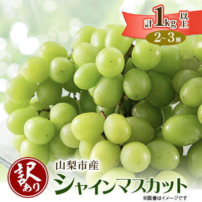 【2026年先行予約】【訳あり】山梨市産シャインマスカット1kg以上(2～3房)_ ふるさと納税 フルーツ 果物 訳アリ ブドウ ぶどう マスカット 葡萄 くだもの わけあり ふるさと 産地直送 山梨 山梨県 山梨市 人気 美味しい 【配送不可地域：離島】【1427896】