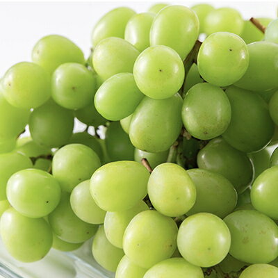 【ふるさと納税】【2026年先行予約】【訳あり】山梨市産シャインマスカット1kg以上(2～3房)_ ふるさと納税 フルーツ 果物 訳アリ ブドウ ぶどう マスカット 葡萄 くだもの わけあり ふるさと 産地直送 山梨 山梨県 山梨市 人気 美味しい 【配送不可地域：離島】【1427896】 - 画像3