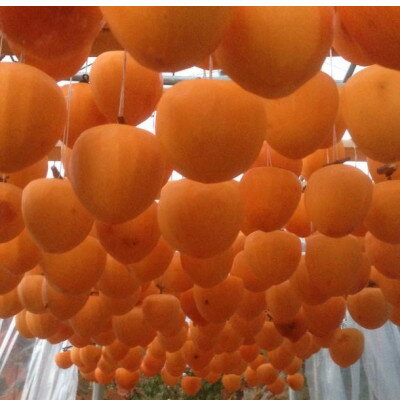 【ふるさと納税】山梨市産高級干し柿・枯露柿約600g(9～12個入)生産者直送!【1452221】 サムネイル3