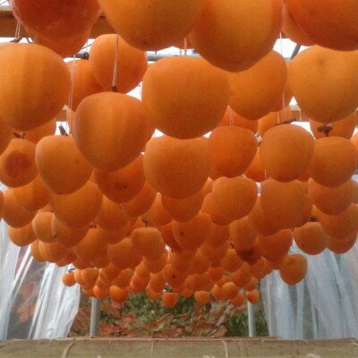 【ふるさと納税】山梨市産高級干し柿・枯露柿約800g(12～16個入)生産者直送!【1452224】 サムネイル3