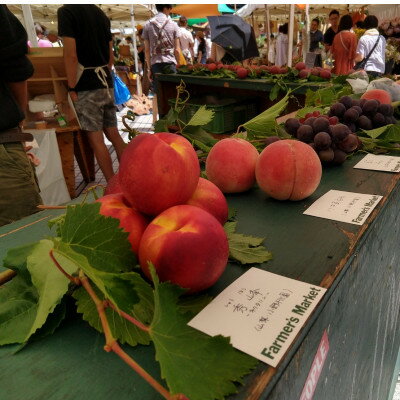 【ふるさと納税】【海外セレブ絶賛】糖度16度以上わずか5%しか収穫されない樹上完熟ブランド桃2026年7月上旬発送【配送不可地域：離島・北海道・沖縄県・中国・四国・九州】【1464204】 サムネイル3