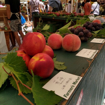 【ふるさと納税】【海外セレブも唸る】糖度16度以上わずか5%しか収穫されない樹上完熟ブランド桃2026年7月中旬発送【配送不可地域：離島・北海道・沖縄県・中国・四国・九州】【1464205】 サムネイル3