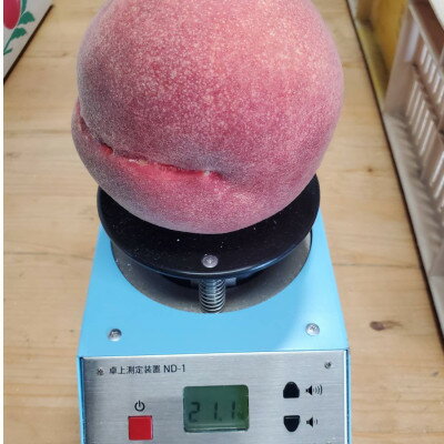 【ふるさと納税】【1泊100万円高級宿御用達】1000個中1個の希少性『幻のシャトーブリアン桃』2026年6月下旬_ ふるさと納税 桃 もも モモ フルーツ 果物 くだもの 山梨県 【配送不可地域：離島・北海道・沖縄県・中国・四国・九州】【1464210】 サムネイル2