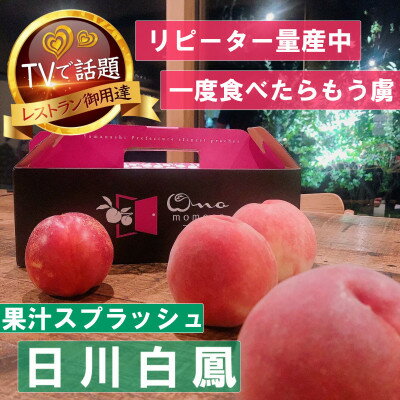 【果汁スプラッシュ日川白鳳】人気品種指定ギフト5年連続TV出演話題ブランド桃2026年6月下旬発送【配送不可地域：離島・北海道・沖縄県・中国・四国・九州】【1465184】