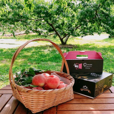 【ふるさと納税】【果汁スプラッシュ日川白鳳】人気品種指定ギフト5年連続TV出演話題ブランド桃2026年6月下旬発送【配送不可地域：離島・北海道・沖縄県・中国・四国・九州】【1465184】 サムネイル2