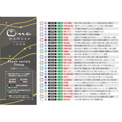 【ふるさと納税】【果汁スプラッシュ日川白鳳】人気品種指定ギフト5年連続TV出演話題ブランド桃2026年6月下旬発送【配送不可地域：離島・北海道・沖縄県・中国・四国・九州】【1465184】 サムネイル3