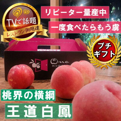 【桃界の横綱キング白鳳】人気品種指定ギフト5年連続TV出演話題ブランド桃2026年7月上旬発送【配送不可地域：離島・北海道・沖縄県・中国・四国・九州】【1465186】