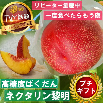 【高糖度ばくだんネクタリン黎明】桃グランプリ日本一受賞&5年連続TV出演で話題2026年7月中旬発送【配送不可地域：離島・北海道・沖縄県・中国・四国・九州】【1465188】